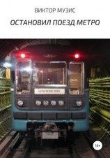читать ОСТАНОВИЛ ПОЕЗД МЕТРО