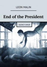 читать End of the President. Agency Amur