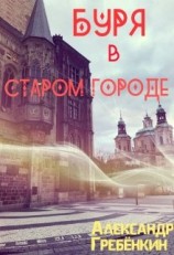 читать Буря в старом городе