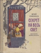 читать Секрет на весь свет