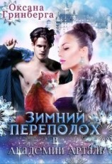 читать Зимний переполох в Академии Арталь