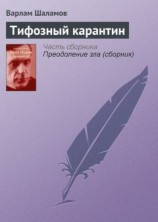 читать Тифозный карантин