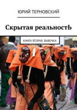 читать Скрытая реальностЬ. Книга вторая. Вавочка