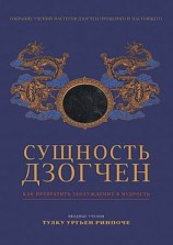 читать Сущность Дзогчен. Как превратить заблуждение в мудрость