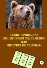 читать Шел десятый год санкций или Интернет по талонам