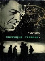 читать В лабиринте замершего города