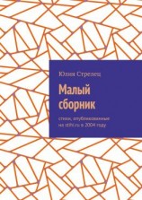 читать Малый сборник. Стихи, опубликованные на stihi.ru в 2004 году