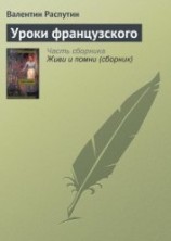 читать Уроки французского