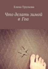 читать Что делать зимой в Гоа