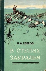 читать В степях Зауралья. Книга вторая