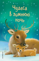 читать Чудеса в зимнюю ночь