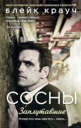 читать Сосны. Заплутавшие