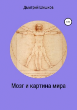 читать Мозг и картина мира