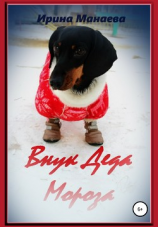 читать Внук Деда Мороза, или Как Митька Морозов в чудеса поверил