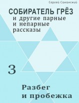 читать Разбег и пробежка (сборник)
