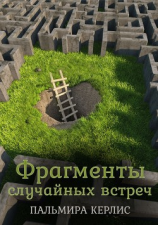 читать Фрагменты случайных встреч. Сборник рассказов