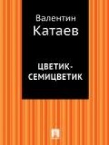 читать Цветик-семицветик. Худ. Аристакесова (Диафильм)