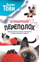 читать Кошачий переполох (сборник)