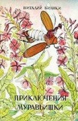 читать Приключения муравьишки