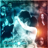 читать Секрет