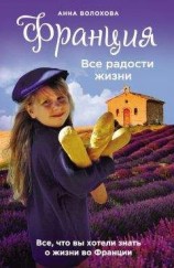 читать Франция. Все радости жизни