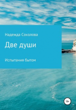читать Две души. Испытания бытом