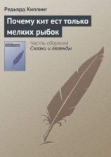 читать Почему кит ест только мелких рыбок