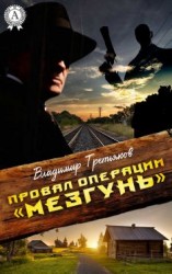 читать Провал операции «Мезгунь»