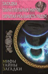 читать Загадка параллельных миров. Скрытая реальность рядом