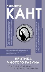 читать Критика чистого разума. С комментариями и иллюстрациями