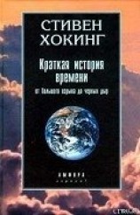 читать Краткая история времени...
