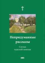 читать Непридуманные рассказы. Случаи чудесной помощи
