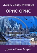 читать Душа в иных Мирах
