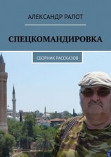 читать Спецкомандировка. Сборник рассказов