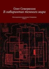 читать В лабиринтах тёмного мира. Том 2