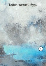 читать Тайна зимней бури