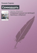 читать Семнадцать