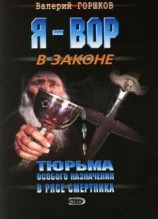читать В рясе смертника