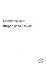 читать Второе дело Юрика