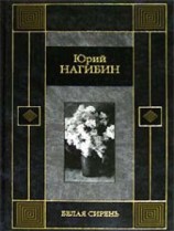 читать Белая сирень