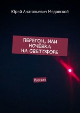 читать Перегон, или Ночёвка на светофоре. Рассказ