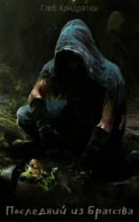 читать Последний из Братства. Первые шаги