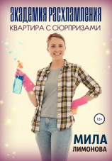 читать Академия расхламления. Квартира с сюрпризами