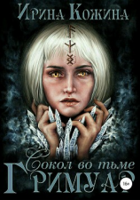 читать Гримуар. Сокол во тьме