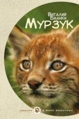 читать Большая книга волшебных приключений для девочек (Сборник)