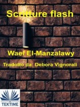 читать Scritture Flash