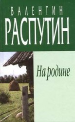 читать На родине