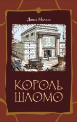 читать Король Шломо