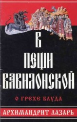 читать В пещи вавилонской. О грехе блуда