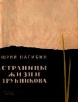 читать Страницы жизни Трубникова(Повесть)